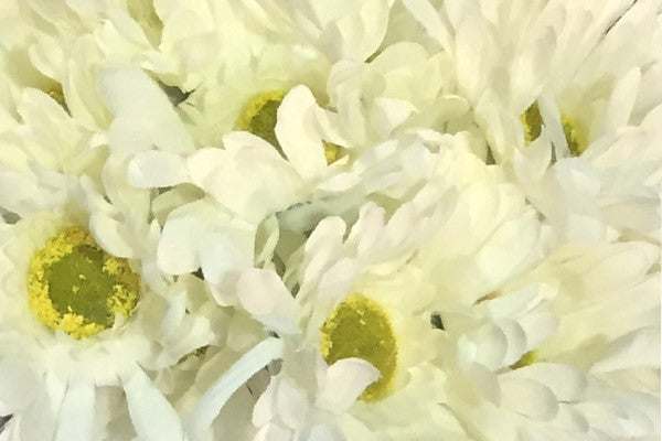 Spring Is Almost Here